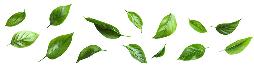 Obraz premium Hop colorful illustration set