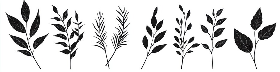 Obraz premium Silhouette botanical illustrations of various leaves and branches with berries in black on a white background Generative AI