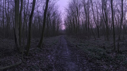 Fototapeta premium Scenic Path Through a Serene Forest at Dusk with Bare Trees and Soft Purple Sky Illuminating the Landscape in Tranquil Nature Environment