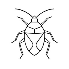 Stink bug line icon. Vector illustration 