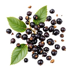Black Peppercorns with Leaves Isolated on Transparent or White Background