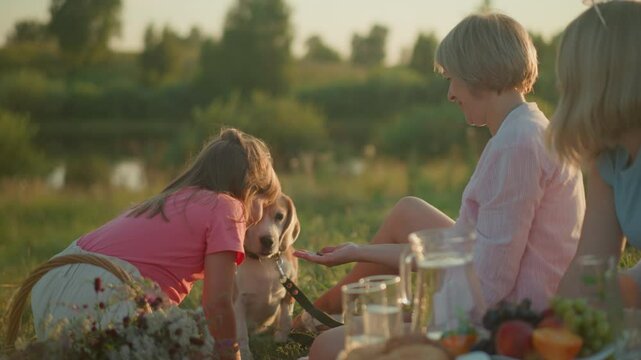 Family enjoying outdoor picnic on sunny day with little girl playfully touching her dog while her aunt watches affectionately, surrounded by food, flowers, and joy in countryside