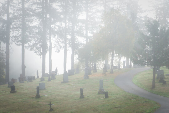 Distant view of a man walking in Mt Calvary Catholic Cemetery in the fog, Portland, Oregon, USA