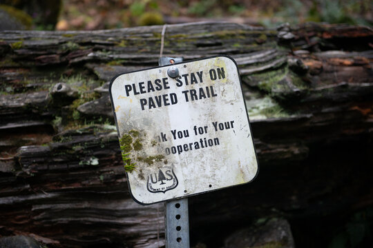 Please Stay on paved Trail sign in front of a fallen log on a hiking trail, Oregon, USA
