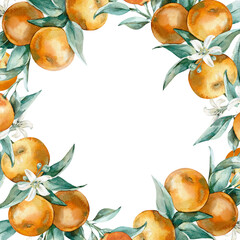 Mandarin branch with leaves and flowers frame isolated on white background. Hand drawn watercolor background with citrus fruits.Template for label, card or invitation design