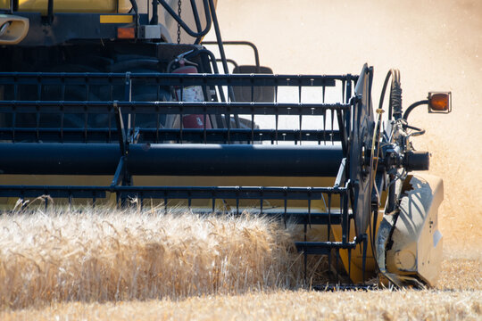 Close-up of a Combine Harvester harvesting Wheat, Saanichton, British Columbia, Canada