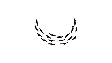 Obraz premium flock of fish, black isolated silhouette