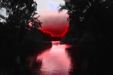 Red fire, Horror surrealistic forest, Atmospheric Black Metal forest, dark spooky nature, fantastic...