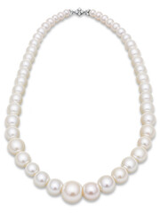 bridal necklace made from a single strand of freshwater pearls, offering a classic and timeless accessory for the bride's neckline.