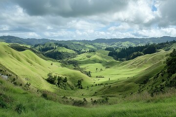 Obraz premium Rolling green hills under a cloudy sky.
