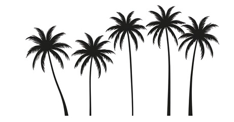 Fototapeta premium Collection of silhouettes of palm trees showing various styles and shapes on white background, Vector illustration