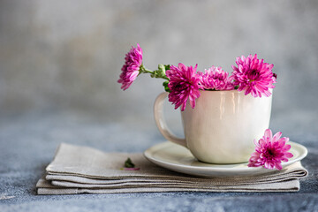 Close-up of pink aster flowers in full bloom in a tea cup on a folded tablecloth