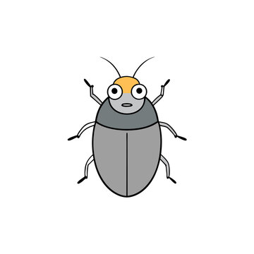 Arpet beetle vector illustration