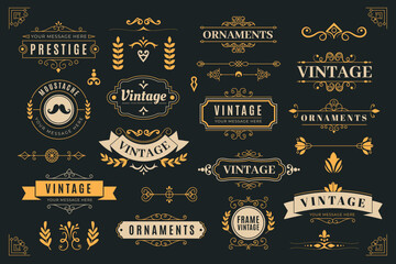 Set of Vintage design elements