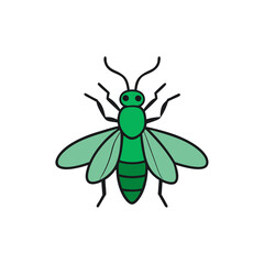 emerald ash borer vector illustration