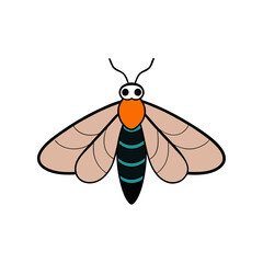 moth vector illustration