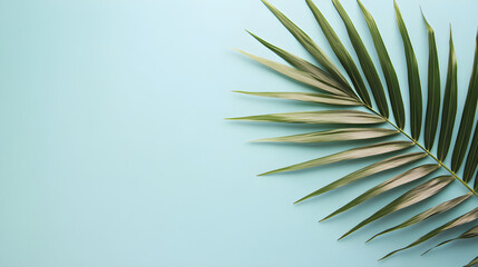 Fototapeta premium Delicate palm leaf positioned in the corner of a pale blue background