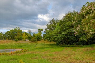 曇り空と緑の公園風景