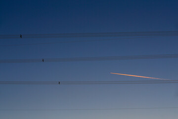 Many high-voltage power towers, silhouetted against the setting sun