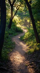 Obraz premium Winding Dirt Path Through Lush Forest Landscape