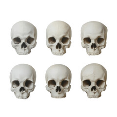 A set of six skulls are shown in a row