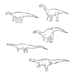 aardonix vector sketch dinosaurs isolated on white background,