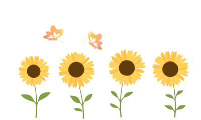 Sunflower icon set and butterfly cartoons isolated on white background vector.