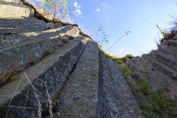 Majestic basalt mountains from which trees grow. Rod-shaped hexagonal stone mountains in the...