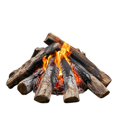 A pile of wood with a fire burning in the middle