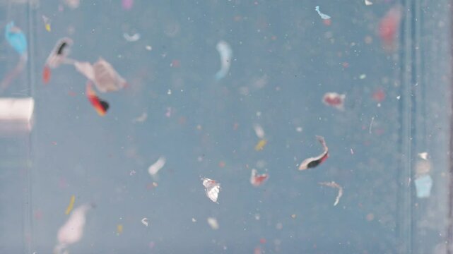 Microplastics suspended in water, close-up view in slow motion, highlighting the environmental and ecological impact of plastic waste.