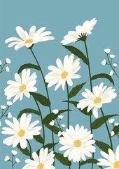 Daisy flower background.Eps 10 vector.