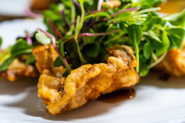 fried pork salade with vegetables and peanuts