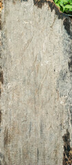 wood texture