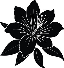  Elegant Azalea Flower Silhouette Vector Design