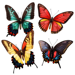 Four butterflies with different colors