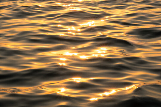 rippled water surface at the sea during golden hour sunset, close up, Natural abstract water background. Banner.