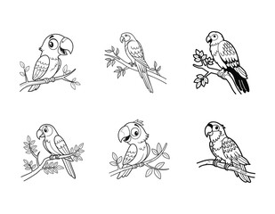 Birds vector silhouette set