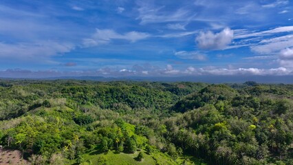 A View of Green Hills under Clear Skies