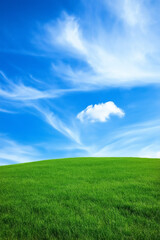 Obraz premium A scenic landscape of bright green grass and a vivid blue sky with light white clouds softly drifting 