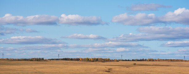 A vast open field with golden hues meets a distant treeline showing autumn's touch under a spacious sky adorned with gentle clouds
