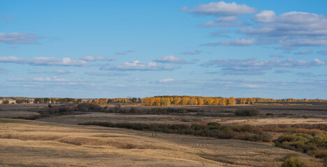 Gentle rolling hills of harvested fields extend towards a vibrant treeline alight with the fiery...