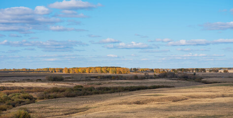 Obraz premium Gentle rolling hills of harvested fields extend towards a vibrant treeline alight with the fiery colors of fall, under a vast sky with wispy clouds.