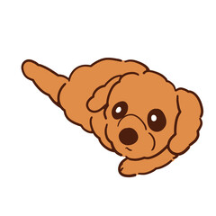 寝そべってる我が家の愛犬ショコラ