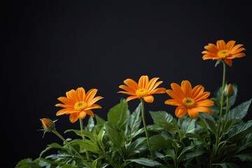 there are orange flowers in a vase on a table