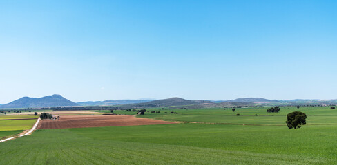 The vast plains of La Mancha in Spain stretch endlessly under a clear blue sky. Fields of green and brown patchwork the landscape, with a distinct hill.