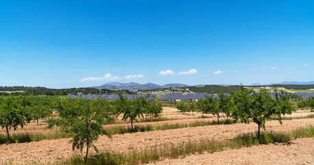 A field of young almond trees stretches across the landscape under a bright blue sky. In the distance, rows of solar panels stand against the backdrop of rolling hills and mountains.