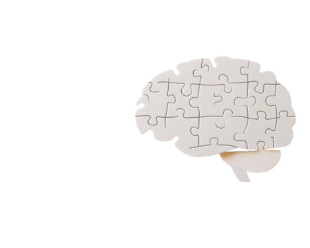 a puzzle of a human brain
