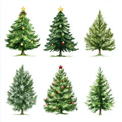 Obraz premium Christmas tree on a white background