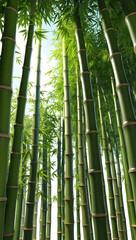 Fototapeta premium Quiet Green Bamboo Grove Surrounded by Endless Blue Sky Wallpaper