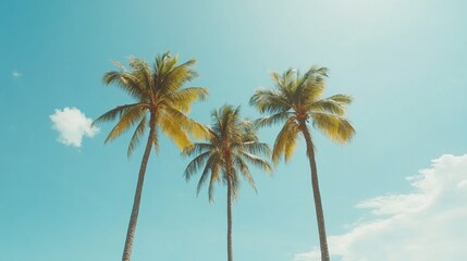 Vintage view of tall palm trees silhouetted against a bright blue sky, capturing a serene tropical beach vibe ideal for summer travel aesthetics.